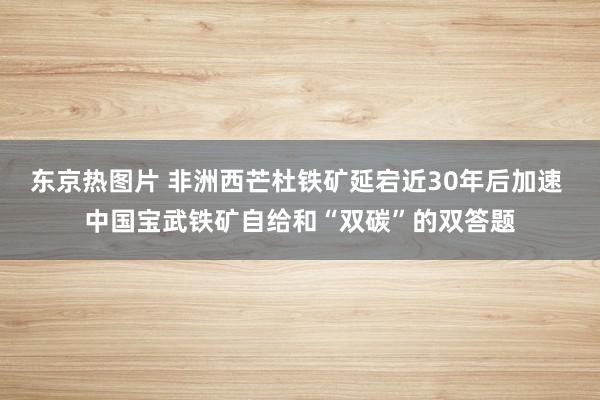 东京热图片 非洲西芒杜铁矿延宕近30年后加速 中国宝武铁矿自给和“双碳”的双答题