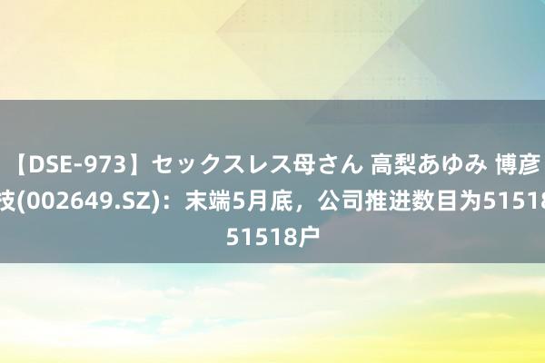 【DSE-973】セックスレス母さん 高梨あゆみ 博彦科技(002649.SZ)：末端5月底，公司推进数目为51518户