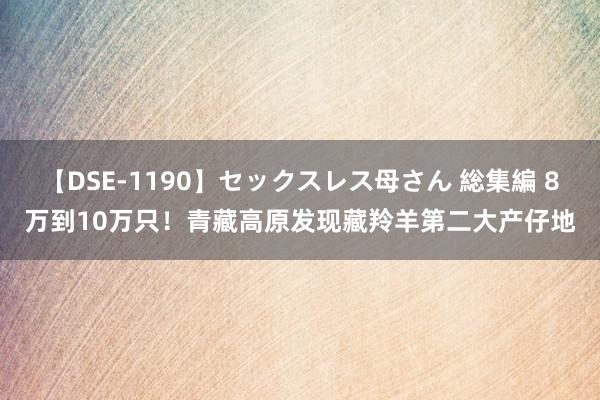 【DSE-1190】セックスレス母さん 総集編 8万到10万只！青藏高原发现藏羚羊第二大产仔地