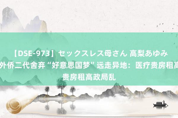 【DSE-973】セックスレス母さん 高梨あゆみ 好意思外侨二代舍弃“好意思国梦”远走异地：医疗贵房租高政局乱