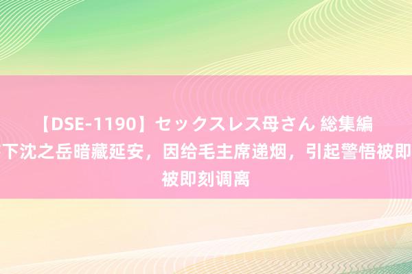 【DSE-1190】セックスレス母さん 総集編 戴笠辖下沈之岳暗藏延安，因给毛主席递烟，引起警悟被即刻调离