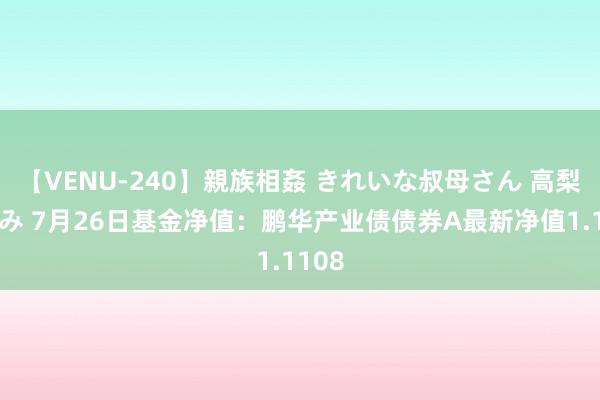 【VENU-240】親族相姦 きれいな叔母さん 高梨あゆみ 7月26日基金净值：鹏华产业债债券A最新净值1.1108