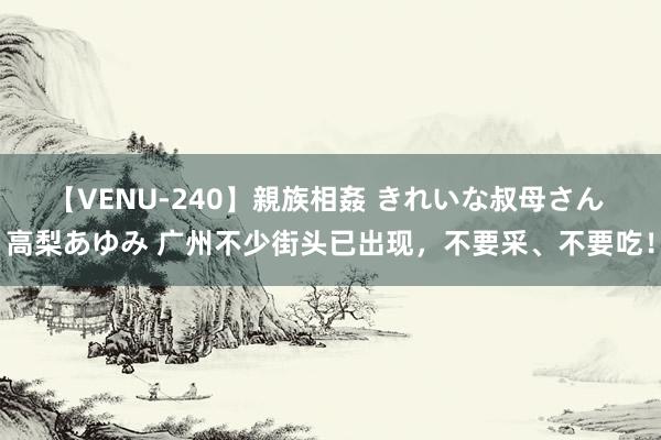 【VENU-240】親族相姦 きれいな叔母さん 高梨あゆみ 广州不少街头已出现，不要采、不要吃！