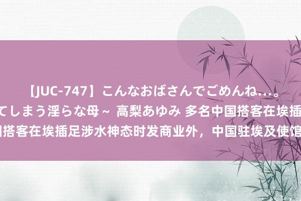 【JUC-747】こんなおばさんでごめんね…。～童貞チ○ポに発情してしまう淫らな母～ 高梨あゆみ 多名中国搭客在埃插足涉水神态时发商业外，中国驻埃及使馆发布安全指示