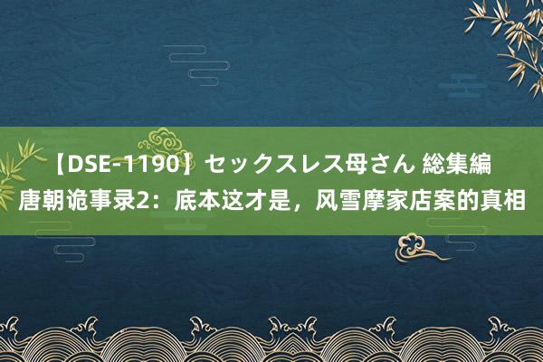 【DSE-1190】セックスレス母さん 総集編 唐朝诡事录2：底本这才是，风雪摩家店案的真相