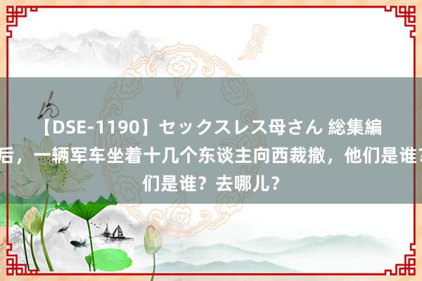 【DSE-1190】セックスレス母さん 総集編 南京失陷后，一辆军车坐着十几个东谈主向西裁撤，他们是谁？去哪儿？