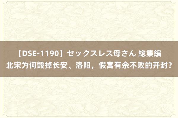 【DSE-1190】セックスレス母さん 総集編 北宋为何毁掉长安、洛阳，假寓有余不败的开封？