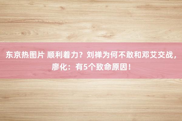 东京热图片 顺利着力？刘禅为何不敢和邓艾交战，廖化：有5个致命原因！