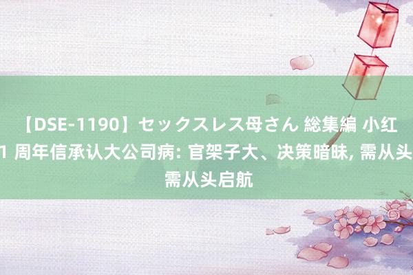 【DSE-1190】セックスレス母さん 総集編 小红书 11 周年信承认大公司病: 官架子大、决策暗昧, 需从头启航