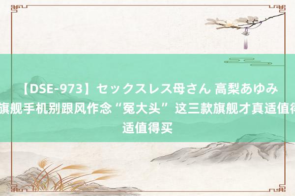 【DSE-973】セックスレス母さん 高梨あゆみ 买旗舰手机别跟风作念“冤大头” 这三款旗舰才真适值得买