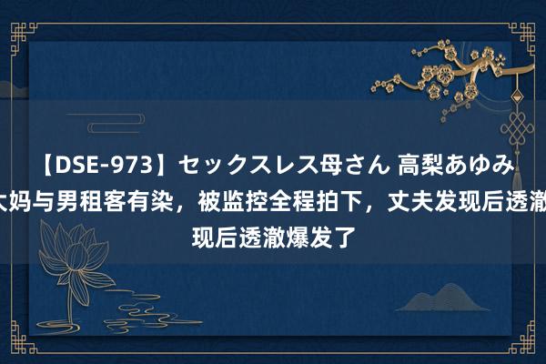 【DSE-973】セックスレス母さん 高梨あゆみ 51岁大妈与男租客有染，被监控全程拍下，丈夫发现后透澈爆发了