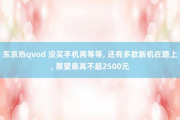 东京热qvod 没买手机再等等, 还有多款新机在路上, 展望最高不超2500元