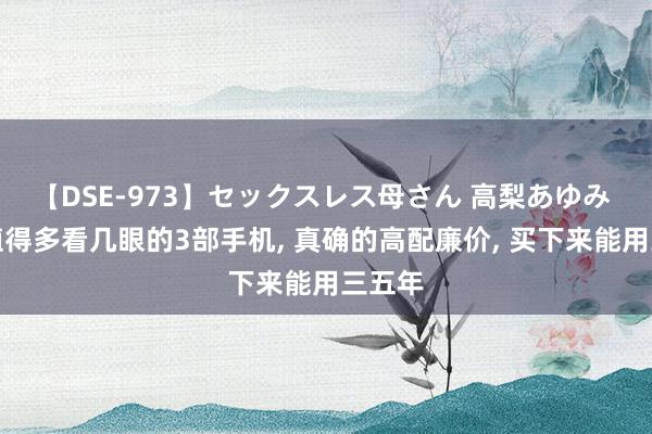 【DSE-973】セックスレス母さん 高梨あゆみ 刻下值得多看几眼的3部手机, 真确的高配廉价, 买下来能用三五年