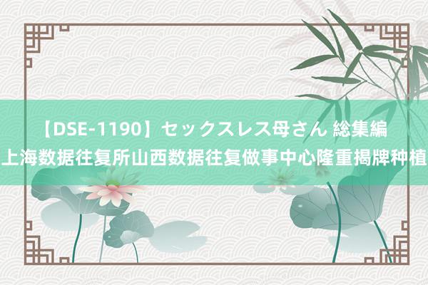 【DSE-1190】セックスレス母さん 総集編 上海数据往复所山西数据往复做事中心隆重揭牌种植