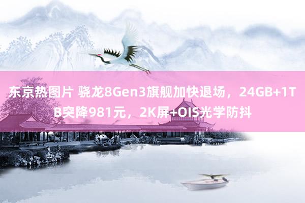 东京热图片 骁龙8Gen3旗舰加快退场，24GB+1TB突降981元，2K屏+OIS光学防抖