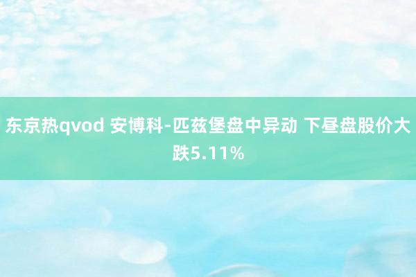 东京热qvod 安博科-匹兹堡盘中异动 下昼盘股价大跌5.11%