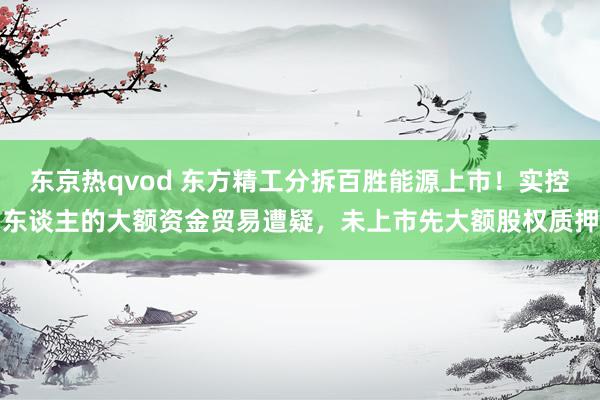 东京热qvod 东方精工分拆百胜能源上市！实控东谈主的大额资金贸易遭疑，未上市先大额股权质押