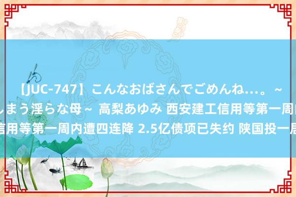 【JUC-747】こんなおばさんでごめんね…。～童貞チ○ポに発情してしまう淫らな母～ 高梨あゆみ 西安建工信用等第一周内遭四连降 2.5亿债项已失约 陕国投一居品“踩雷”