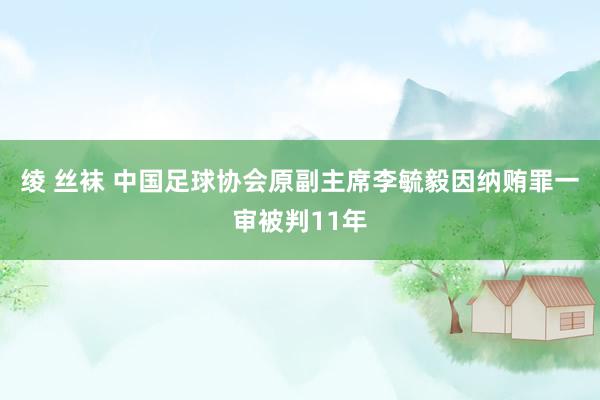 绫 丝袜 中国足球协会原副主席李毓毅因纳贿罪一审被判11年