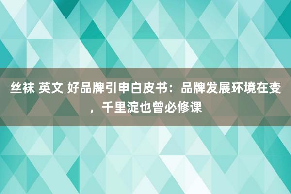 丝袜 英文 好品牌引申白皮书：品牌发展环境在变，千里淀也曾必修课