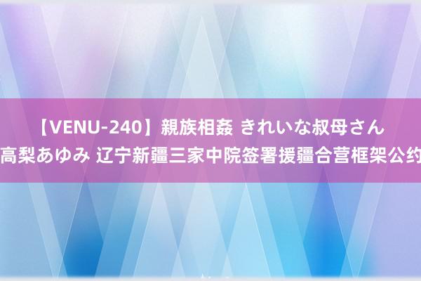 【VENU-240】親族相姦 きれいな叔母さん 高梨あゆみ 辽宁新疆三家中院签署援疆合营框架公约