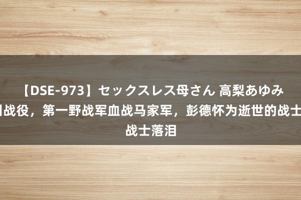 【DSE-973】セックスレス母さん 高梨あゆみ 兰州战役，第一野战军血战马家军，彭德怀为逝世的战士落泪