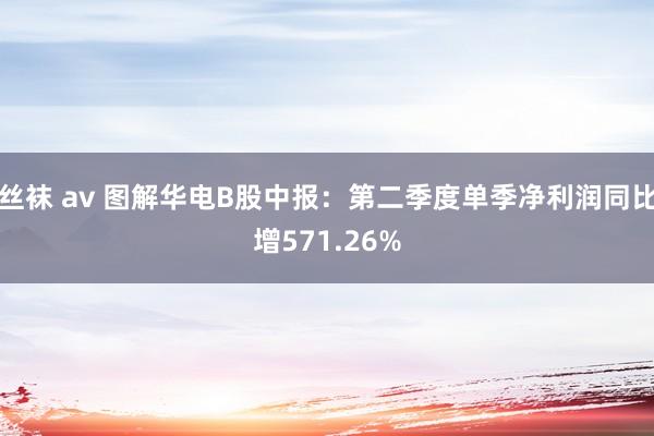 丝袜 av 图解华电B股中报：第二季度单季净利润同比增571.26%