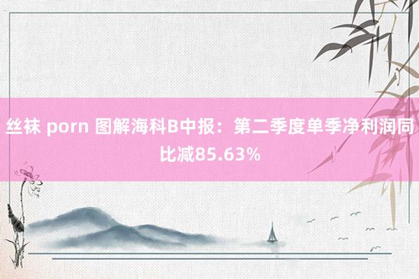 丝袜 porn 图解海科B中报：第二季度单季净利润同比减85.63%