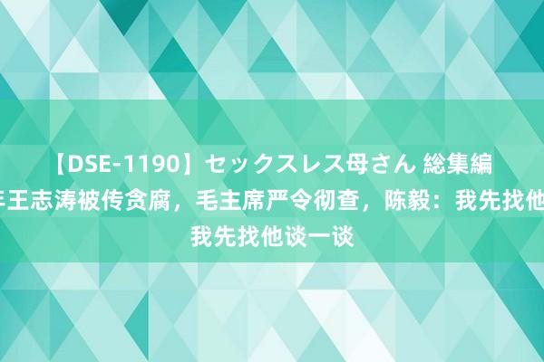 【DSE-1190】セックスレス母さん 総集編 1952年王志涛被传贪腐，毛主席严令彻查，陈毅：我先找他谈一谈