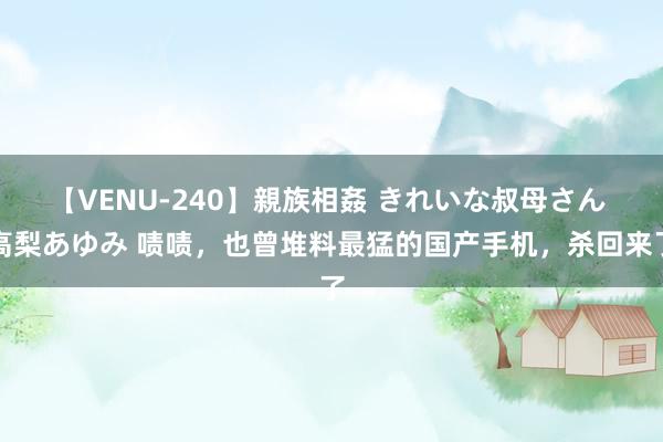 【VENU-240】親族相姦 きれいな叔母さん 高梨あゆみ 啧啧，也曾堆料最猛的国产手机，杀回来了