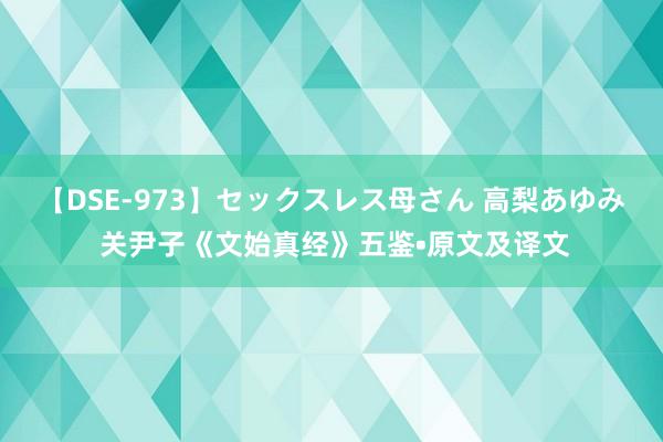 【DSE-973】セックスレス母さん 高梨あゆみ 关尹子《文始真经》五鉴•原文及译文